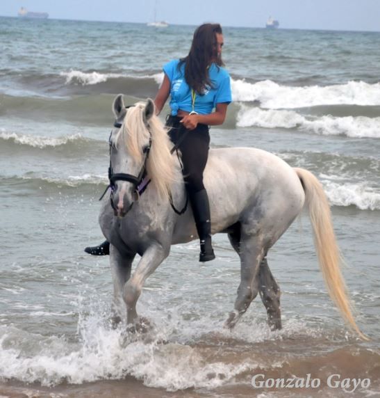 Foto:Gonzalo Gayo. PINEDO