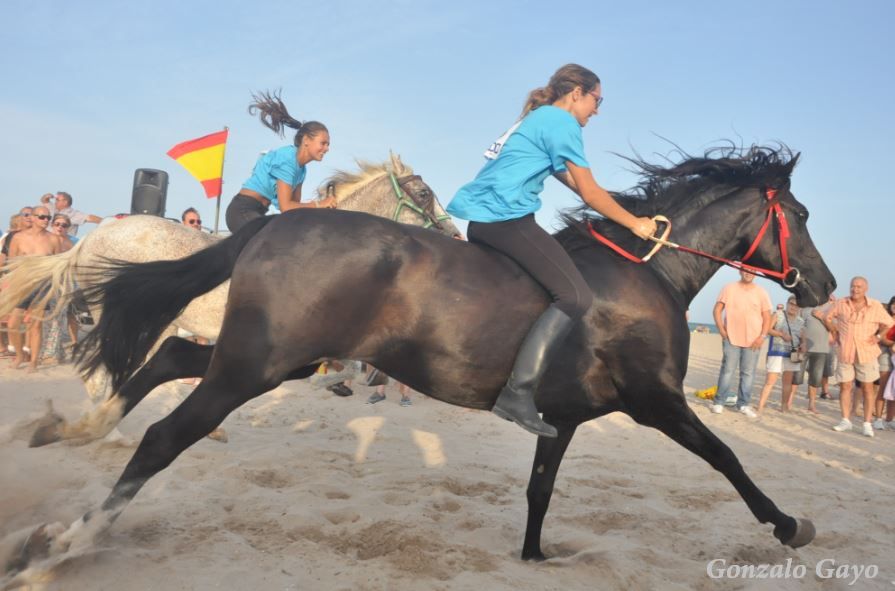 Foto:Gonzalo Gayo. PINEDO