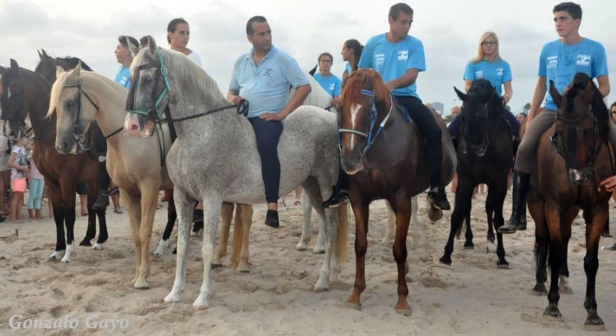 Foto:Gonzalo Gayo. PINEDO